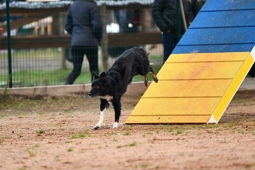 On des Crocs de Provence