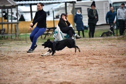 On des Crocs de Provence