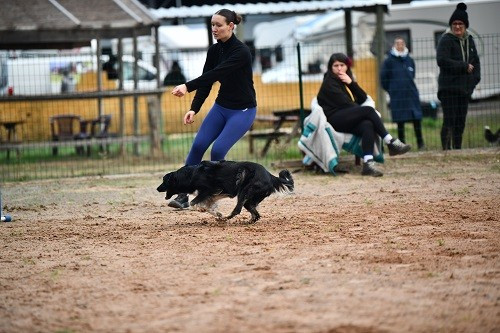 On des Crocs de Provence