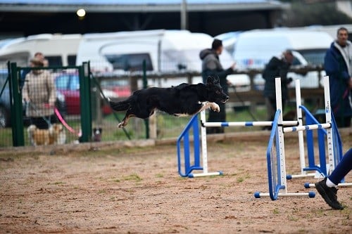 On des Crocs de Provence