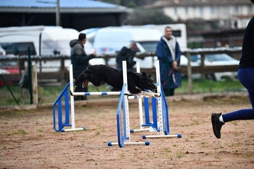 On des Crocs de Provence