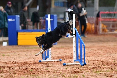 On des Crocs de Provence