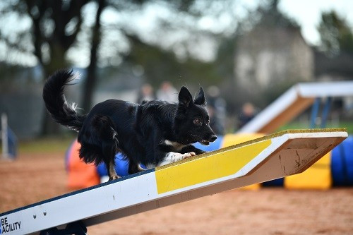 On des Crocs de Provence
