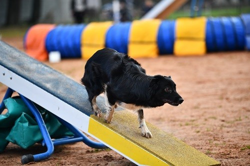 On des Crocs de Provence