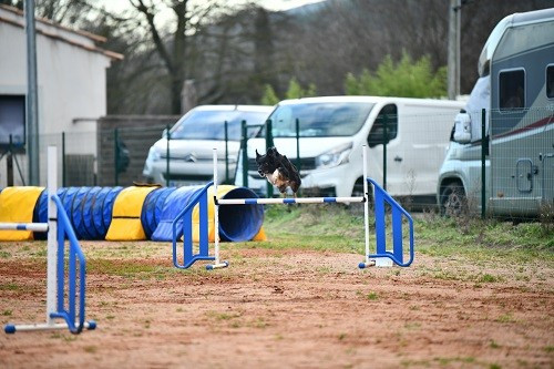 On des Crocs de Provence