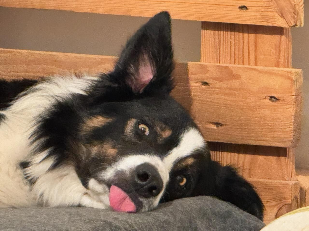 Unik legend des Crocs de Provence