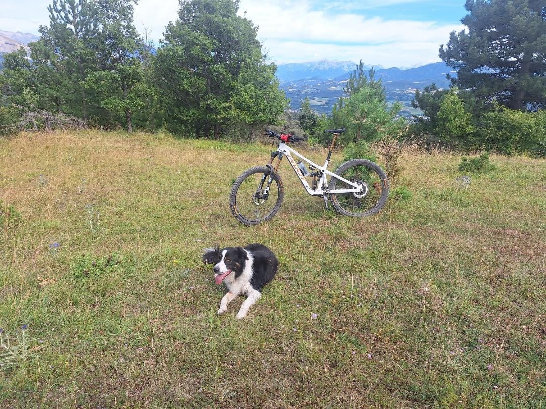 Unik legend des Crocs de Provence