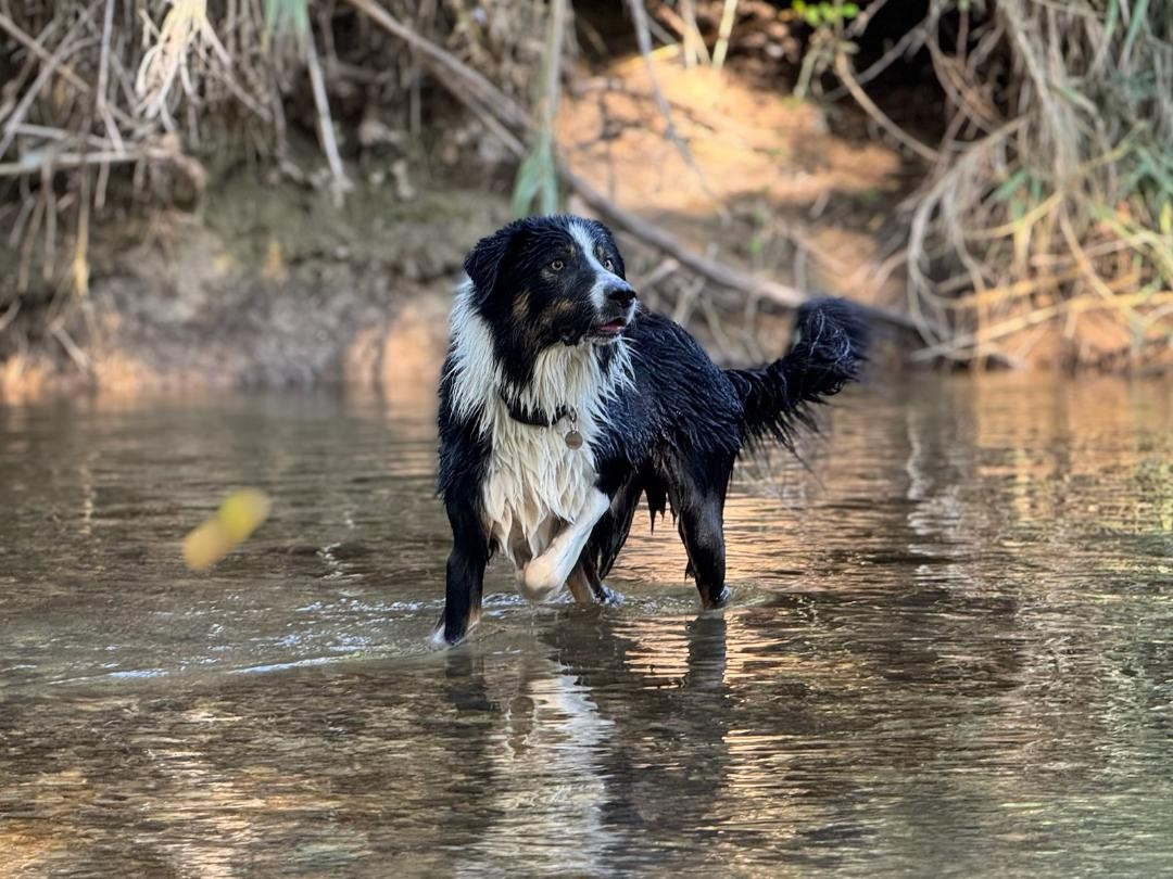 Unik legend des Crocs de Provence