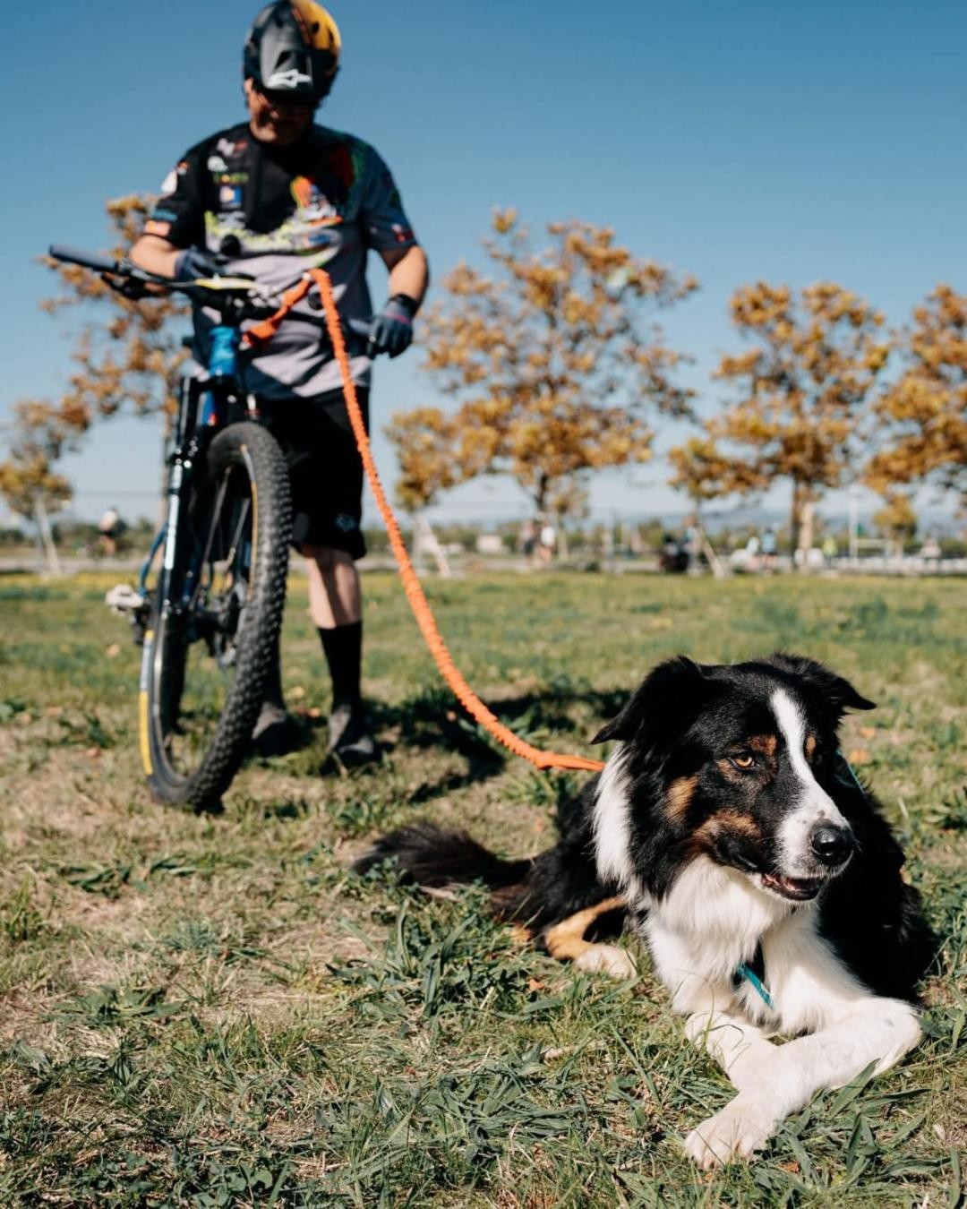 Unik legend des Crocs de Provence