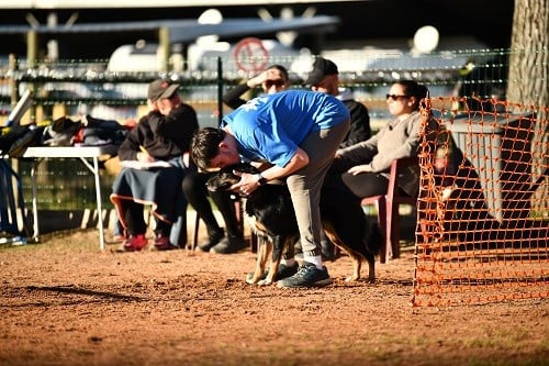 Uchuu yamato des Crocs de Provence