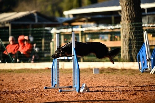 Uchuu yamato des Crocs de Provence