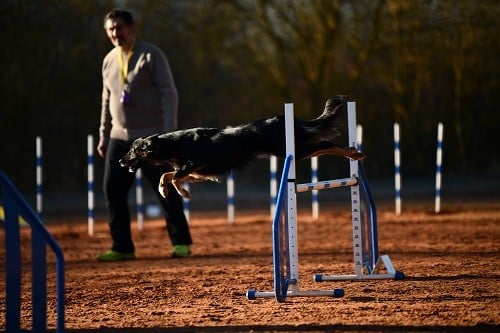 Uchuu yamato des Crocs de Provence