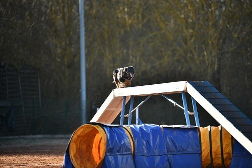 Uchuu yamato des Crocs de Provence