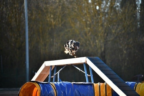 Uchuu yamato des Crocs de Provence