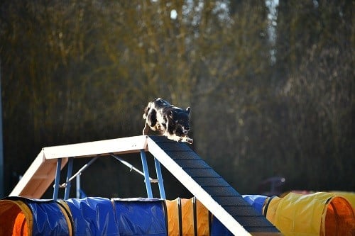 Uchuu yamato des Crocs de Provence