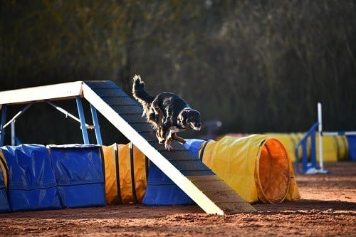 Uchuu yamato des Crocs de Provence
