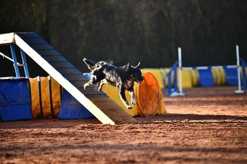 Uchuu yamato des Crocs de Provence