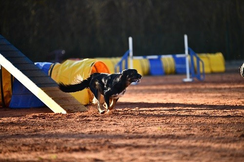 Uchuu yamato des Crocs de Provence