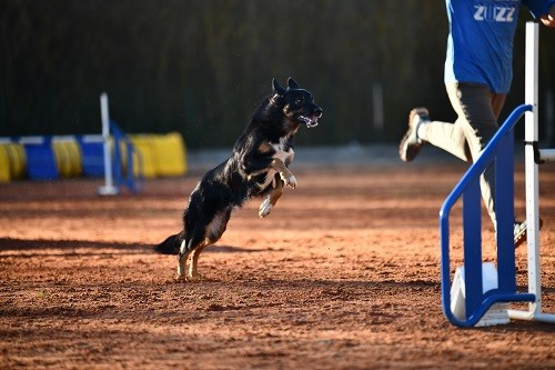 Uchuu yamato des Crocs de Provence