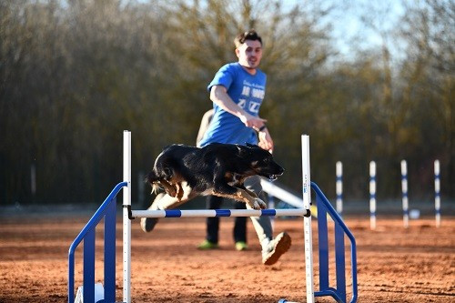 Uchuu yamato des Crocs de Provence