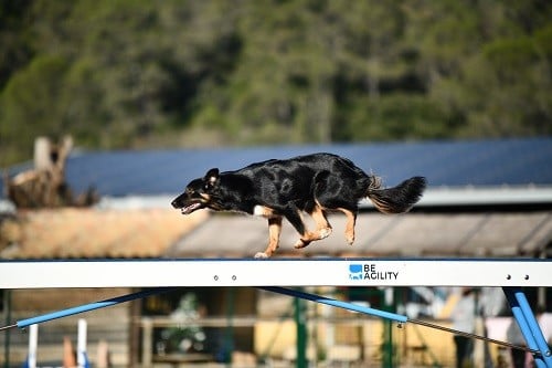 Uchuu yamato des Crocs de Provence