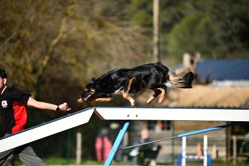 Uchuu yamato des Crocs de Provence