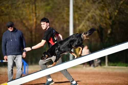 Uchuu yamato des Crocs de Provence