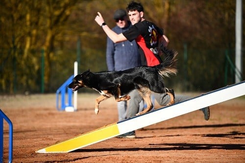 Uchuu yamato des Crocs de Provence