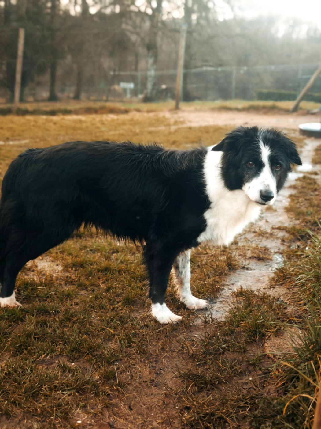 Galaxy girl des Crocs de Provence
