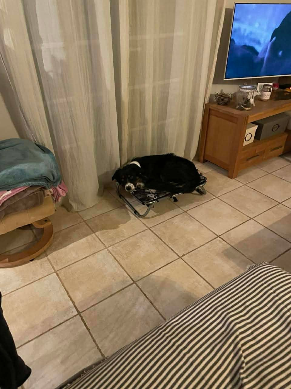 Venom ofgod hades des Crocs de Provence