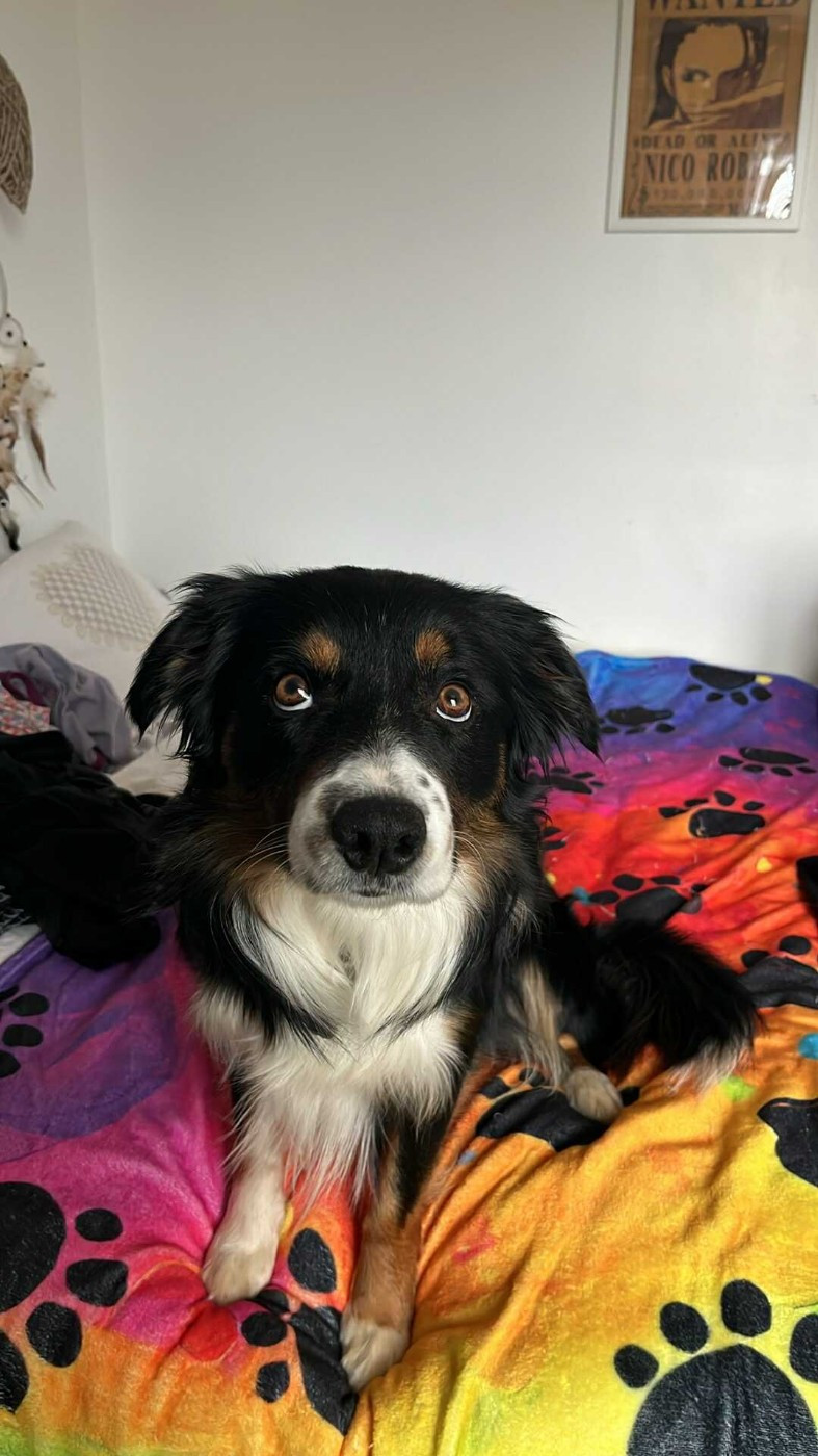 Venom ofgod hades des Crocs de Provence