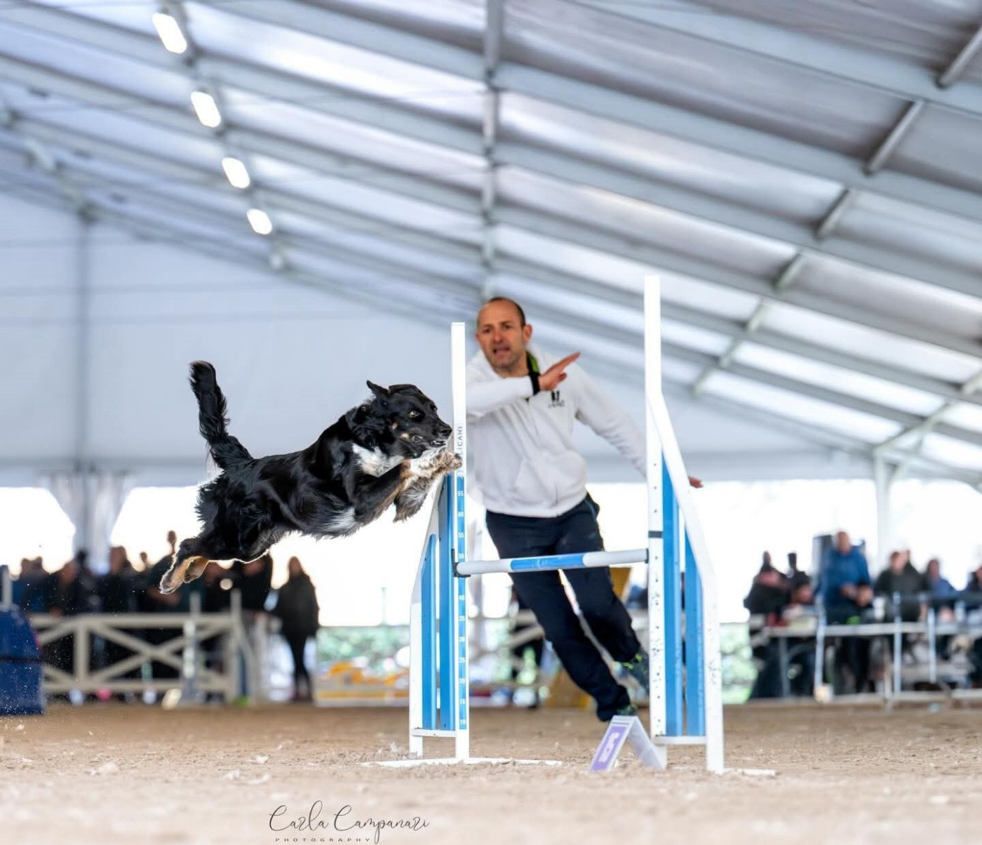Reflex a star des Crocs de Provence
