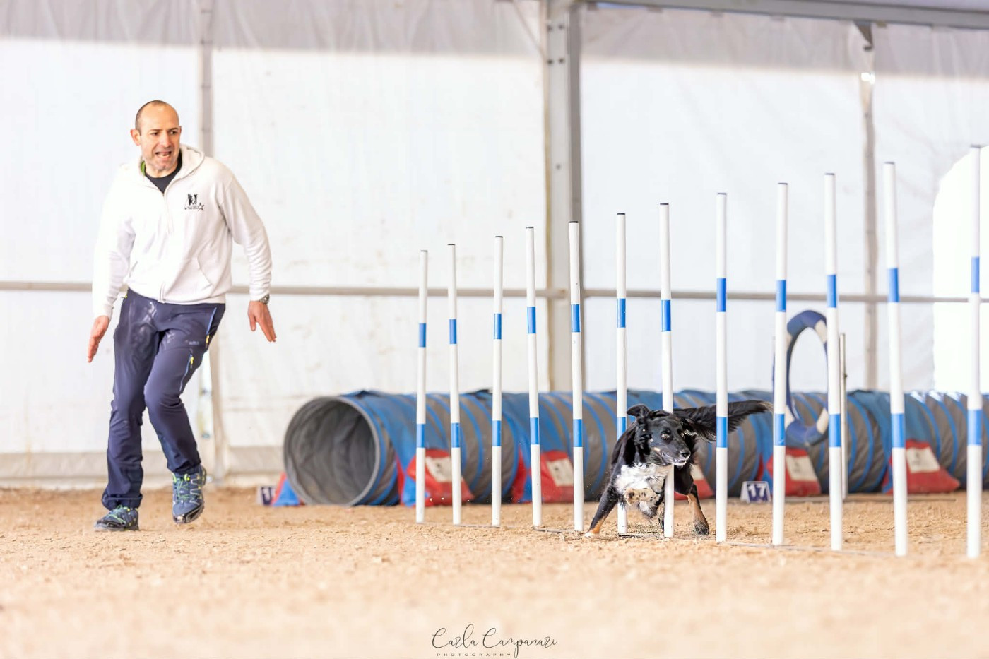 Reflex a star des Crocs de Provence