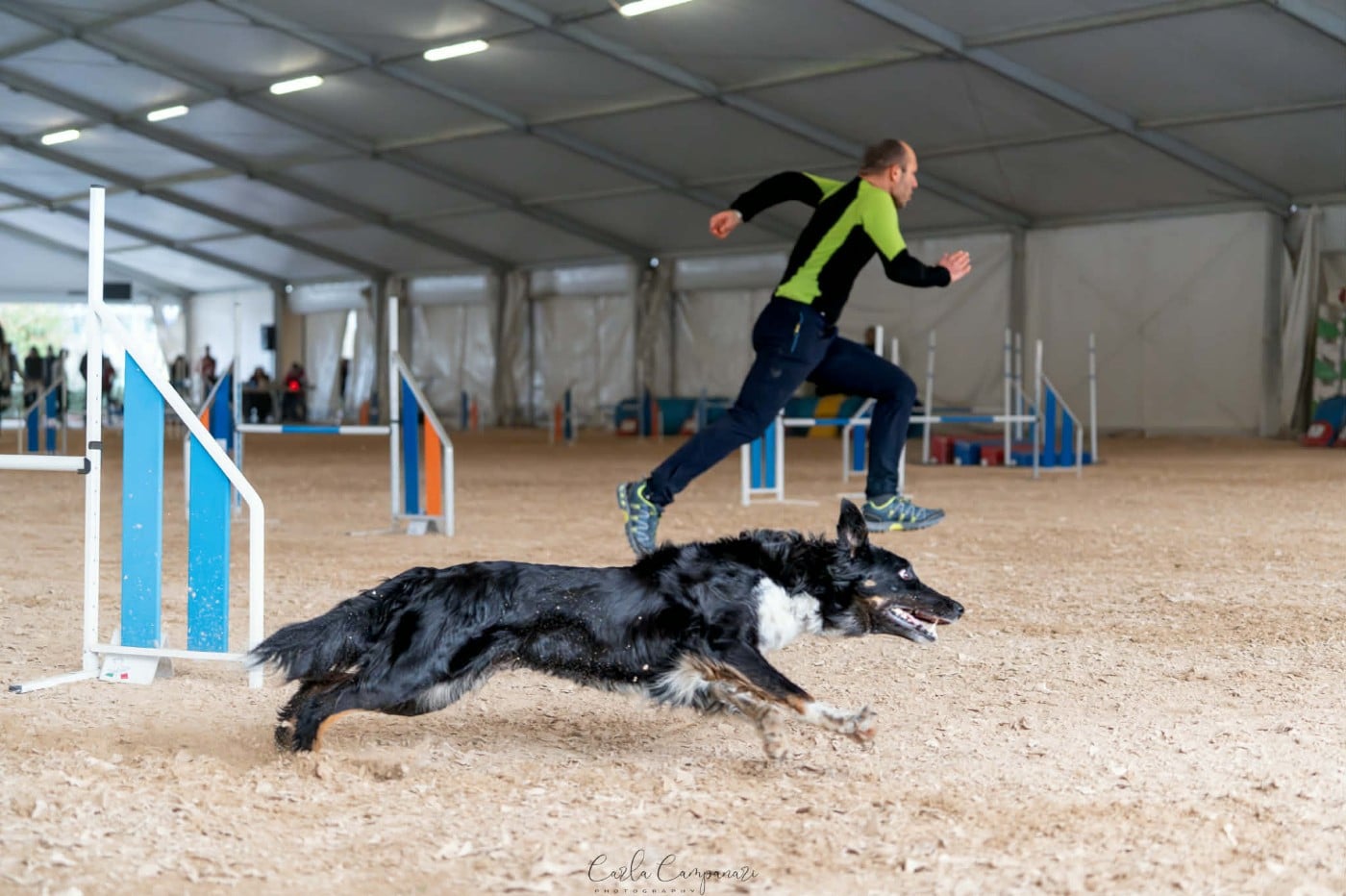 Reflex a star des Crocs de Provence