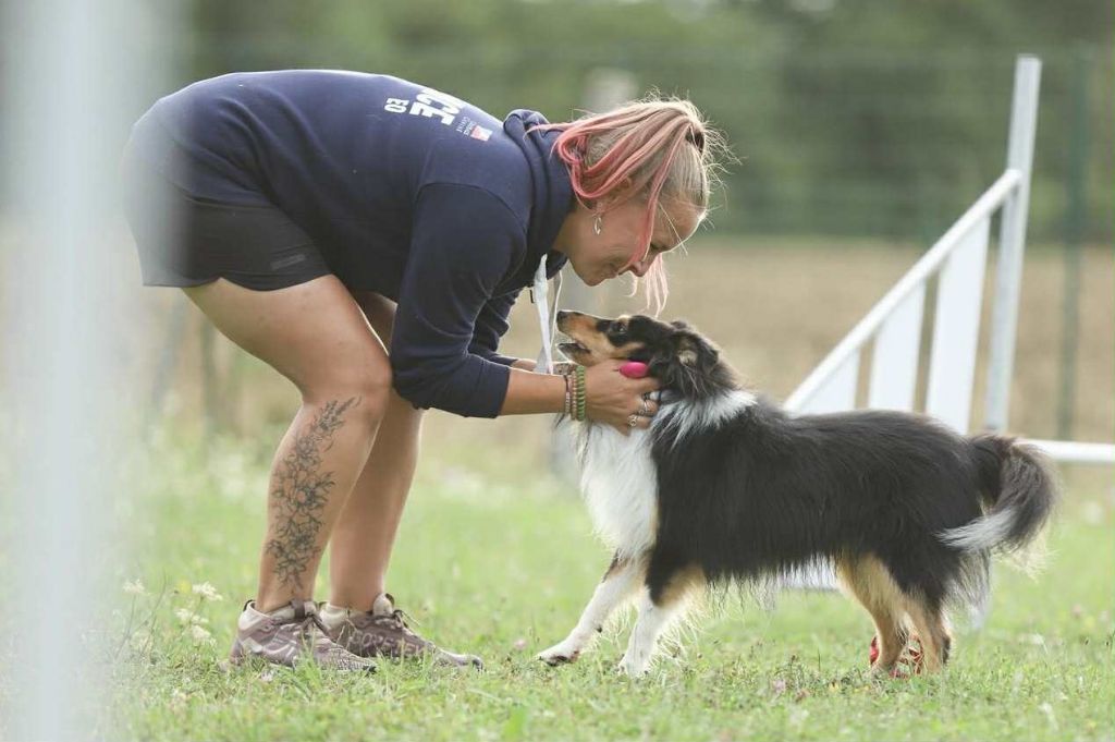 Umealven brun des Crocs de Provence