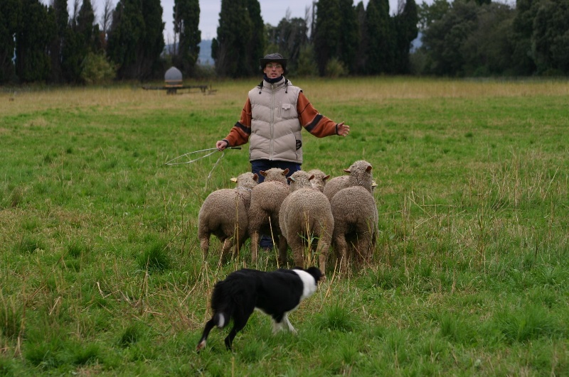 Comète du site de la carrière des plombs