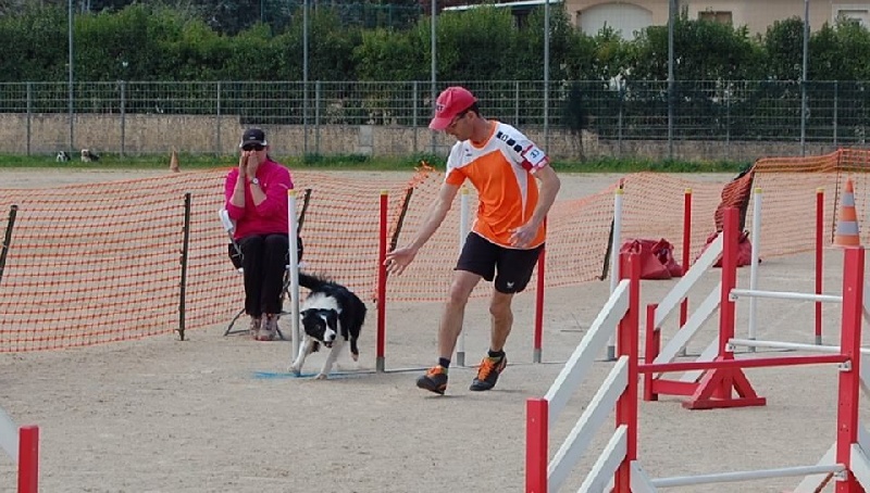 Comète du site de la carrière des plombs