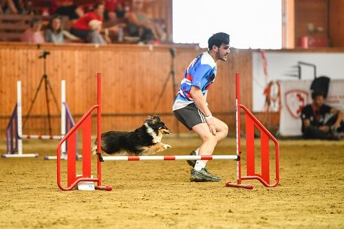 CH. River of glitter rain brune des Crocs de Provence