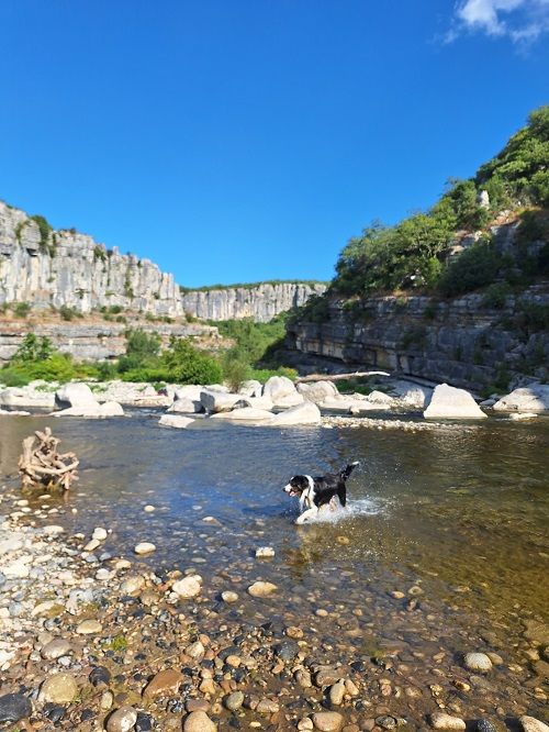 Unik legend des Crocs de Provence