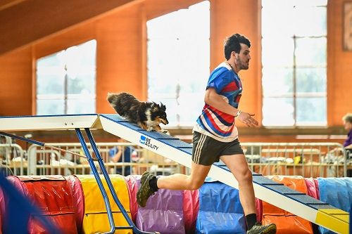 Publication : des Crocs de Provence Auteur : SCF