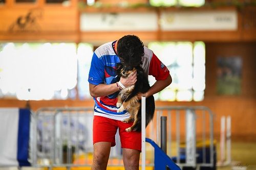 CH. River of glitter rain brune des Crocs de Provence