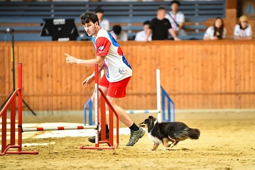 Publication : des Crocs de Provence Auteur : SCF