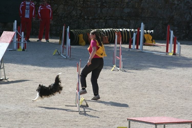 CH. Cheyenne la noire de L'Estérazur du Lac