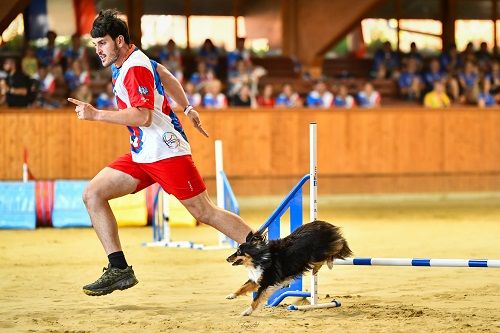 Publication : des Crocs de Provence Auteur : SCF