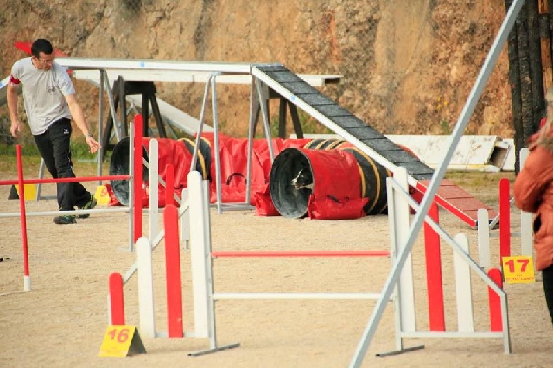 Comète du site de la carrière des plombs