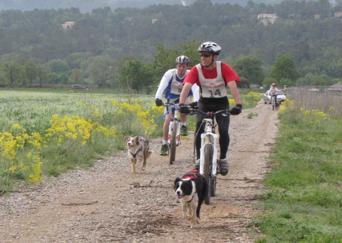 Comète du site de la carrière des plombs