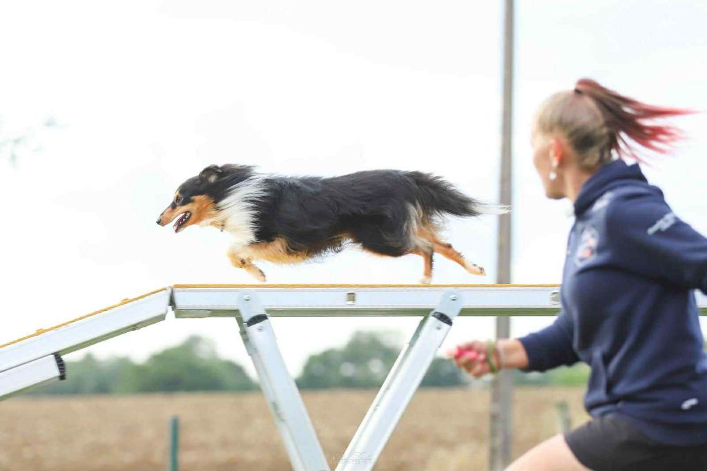 Umealven brun des Crocs de Provence