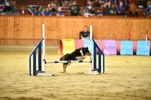 Publication : des Crocs de Provence Auteur : SCF