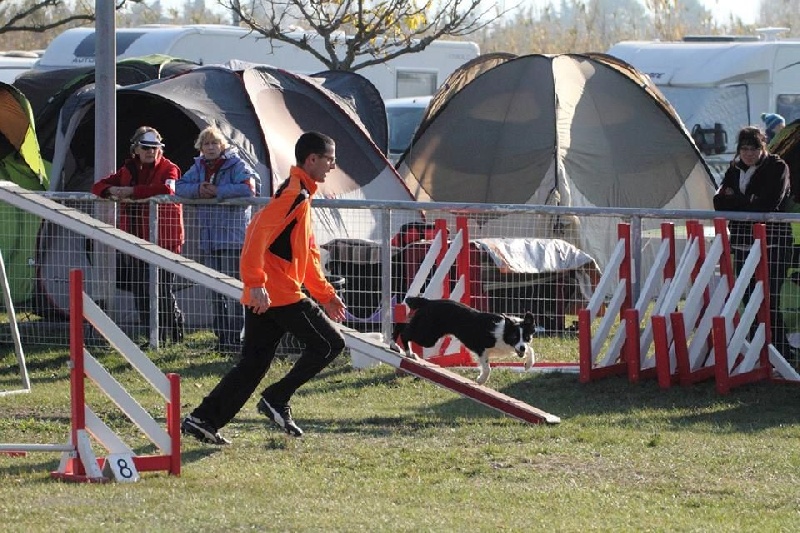 Comète du site de la carrière des plombs