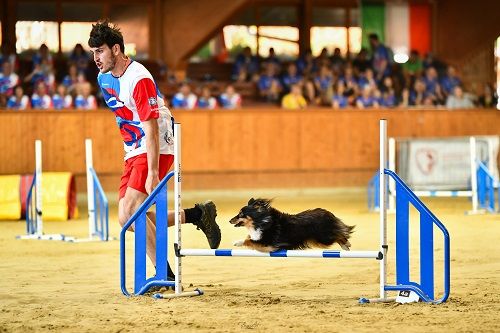 Publication : des Crocs de Provence Auteur : SCF